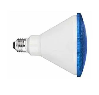 Blue LED Flood Light