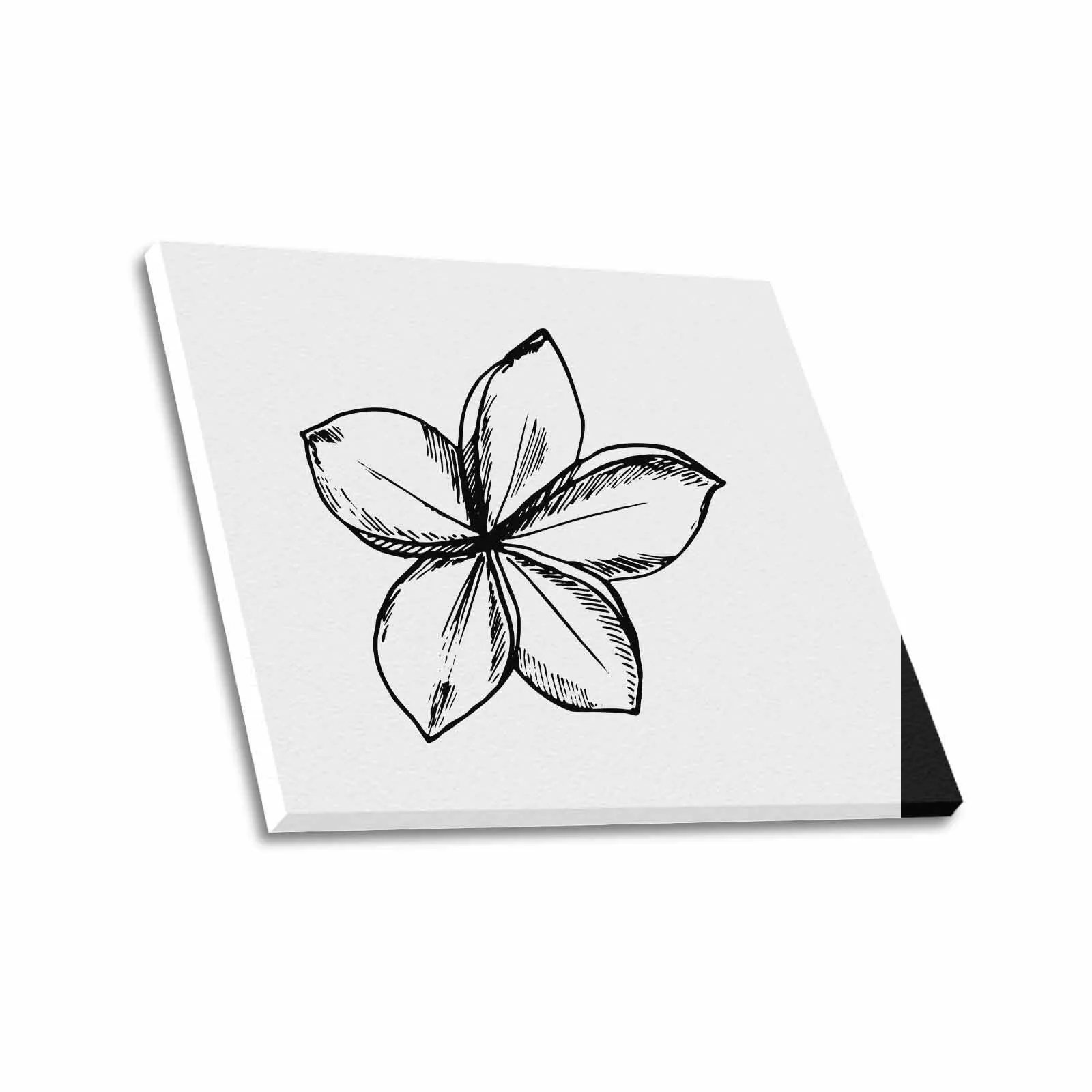 Decorative Floral Sketch Art / Textured Frame Canvas Print - 51753