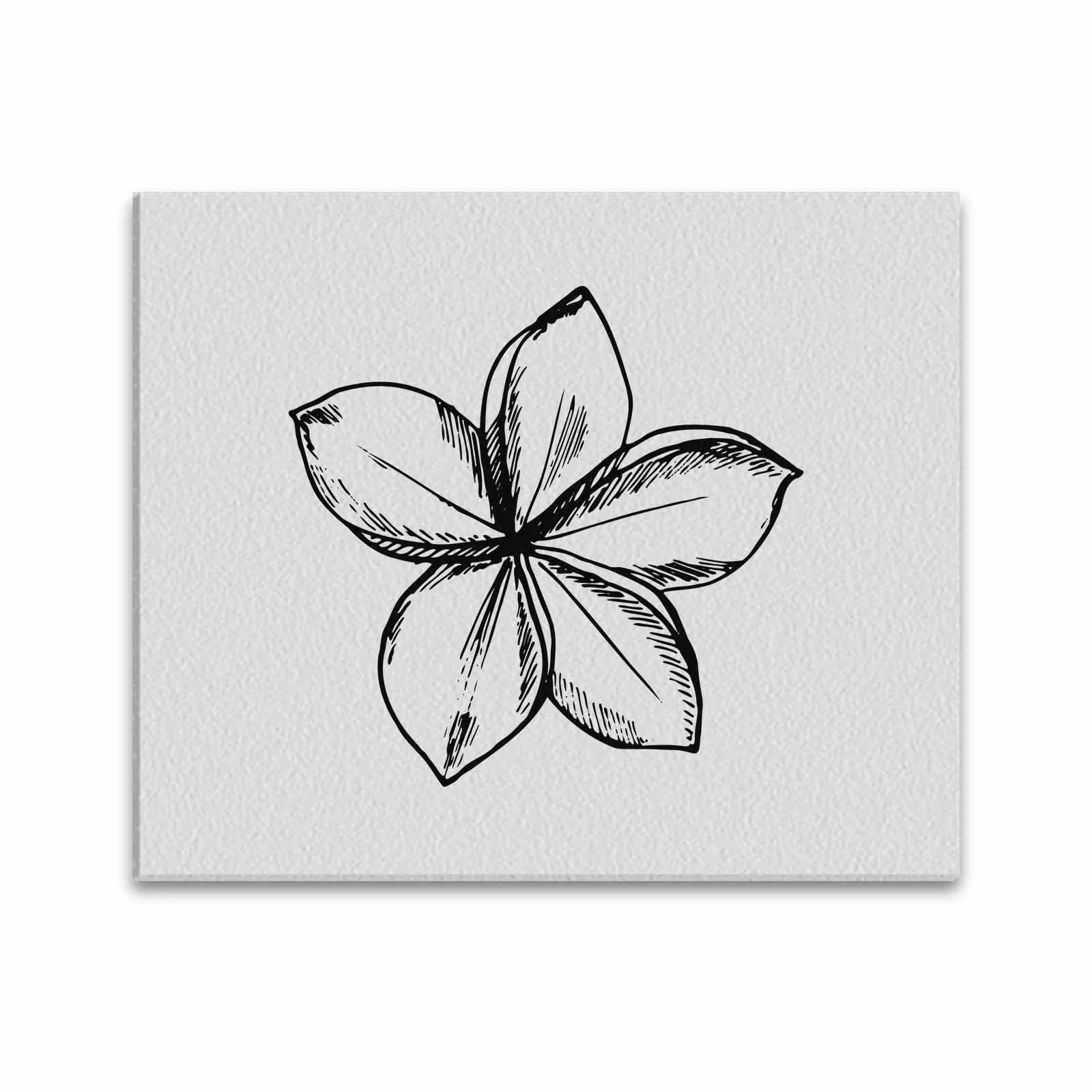 Decorative Floral Sketch Art / Textured Frame Canvas Print - 51753