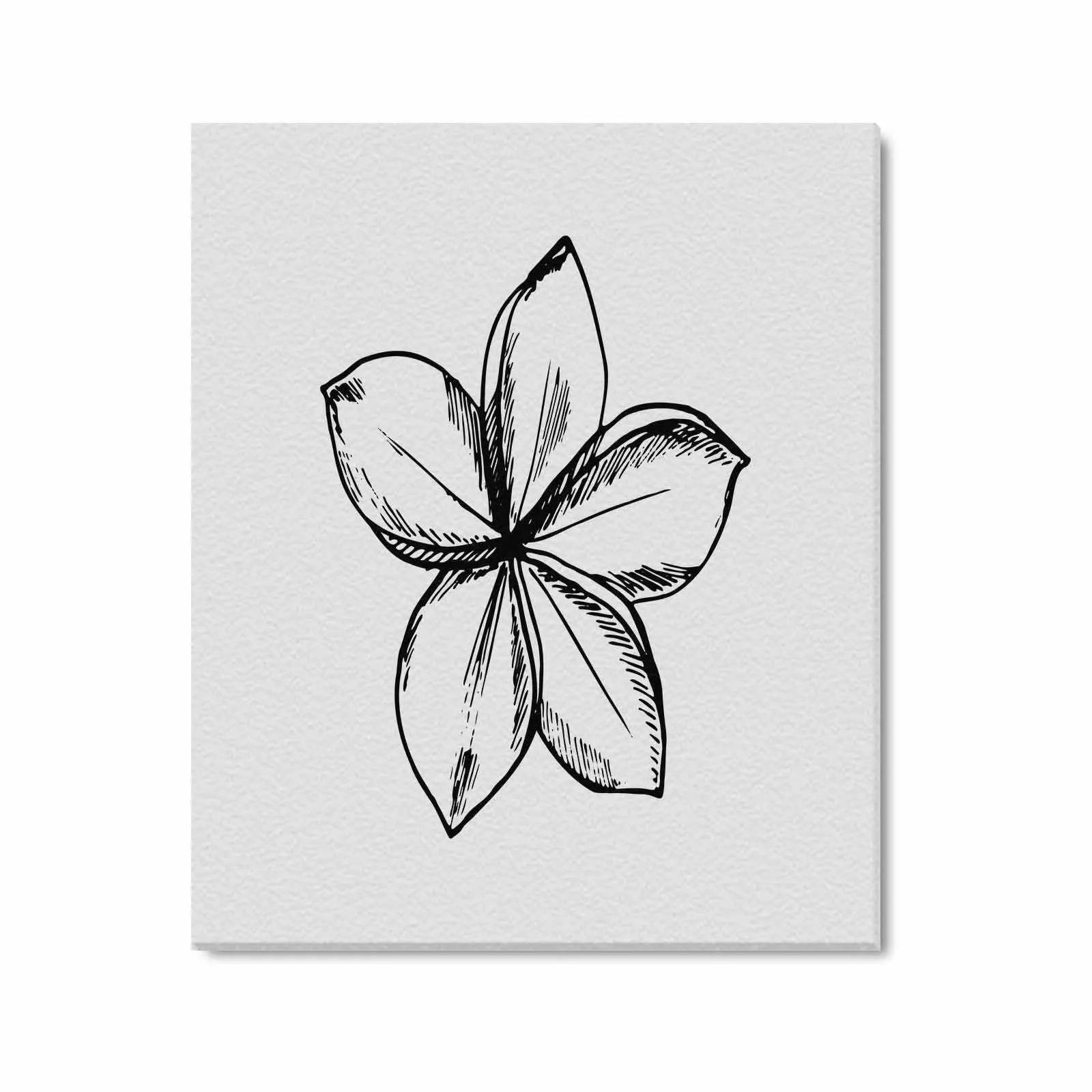 Decorative Floral Sketch Art / Textured Frame Canvas Print - 51753