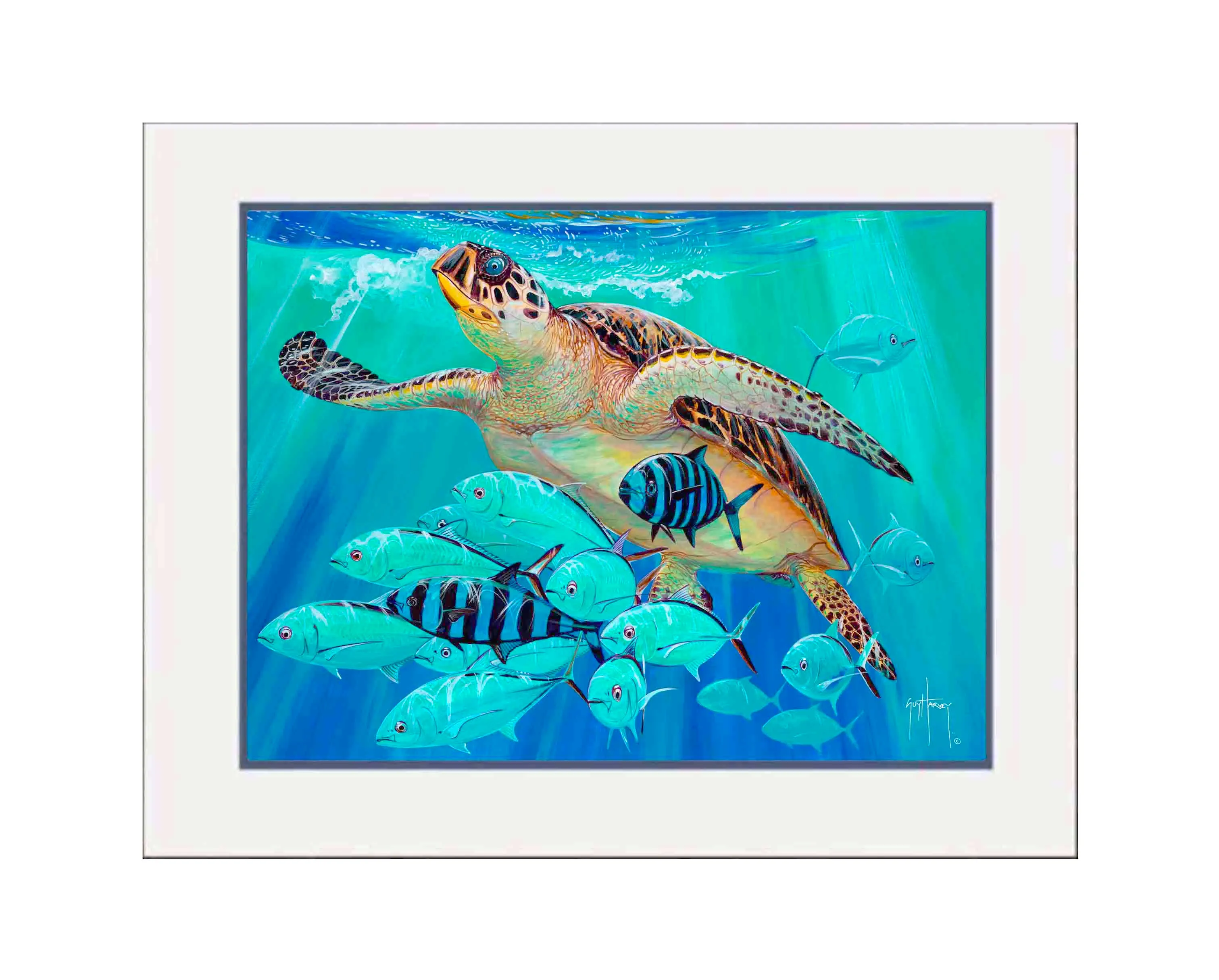 Hawksbill Caravan Large Mini Print