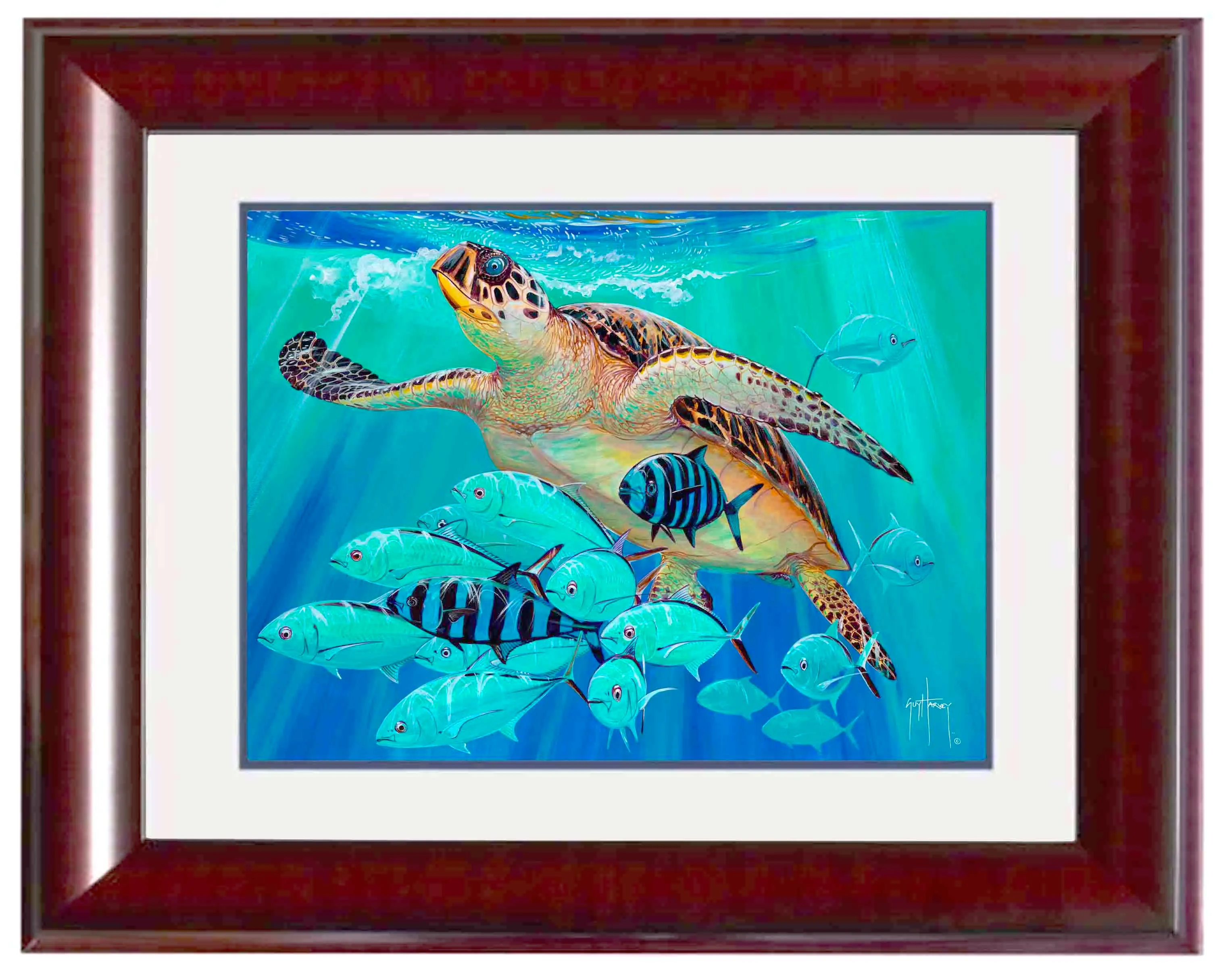 Hawksbill Caravan Large Mini Print