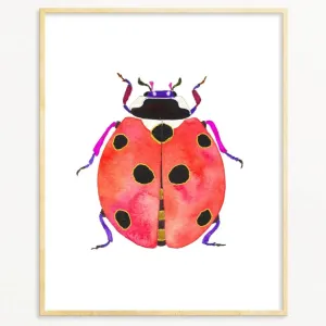 Snoogs & Wilde 5x7 Art Print ~ Ladybug