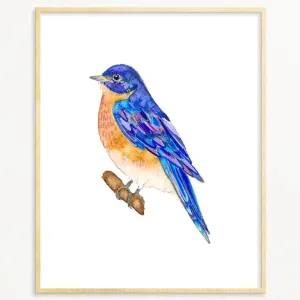 Snoogs & Wilde Art Print ~ Bluebird